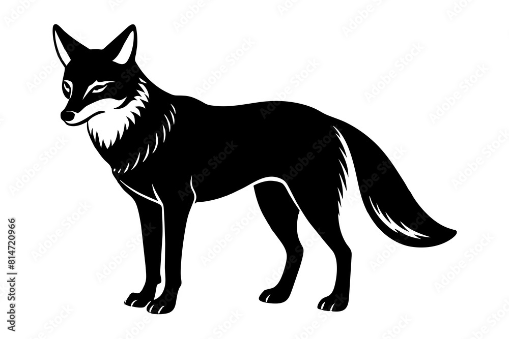 coyote line art silhouette illustration coyote line art silhouette illustration
