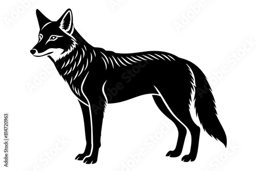 coyote line art silhouette illustration
