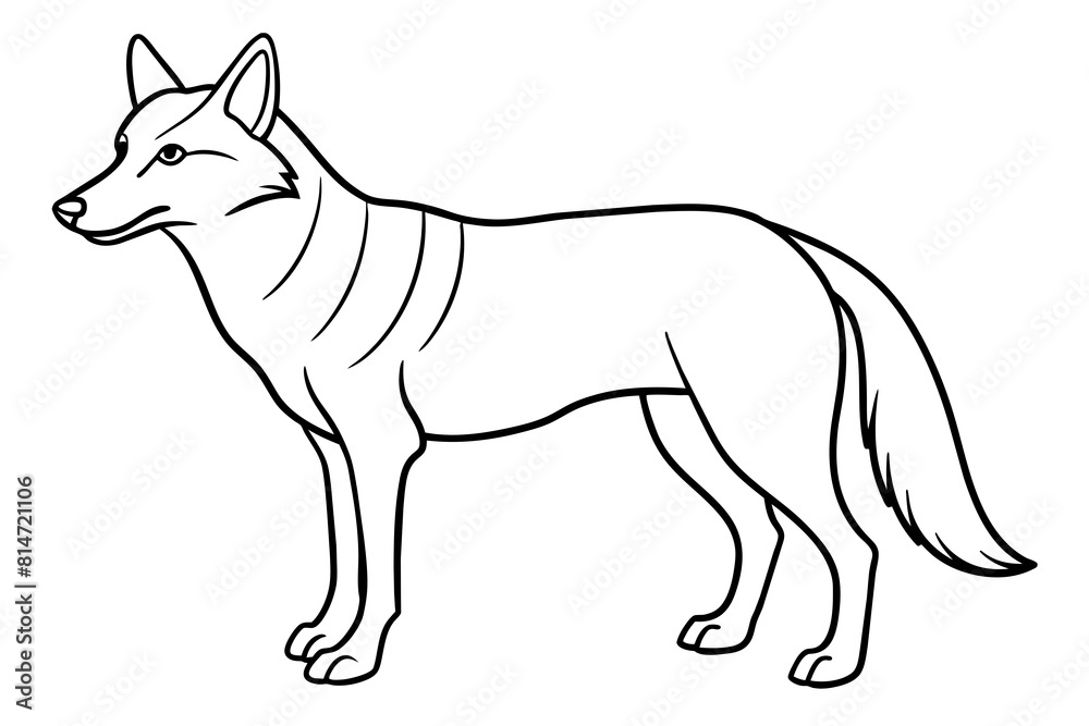 coyote line art silhouette illustration coyote line art silhouette illustration