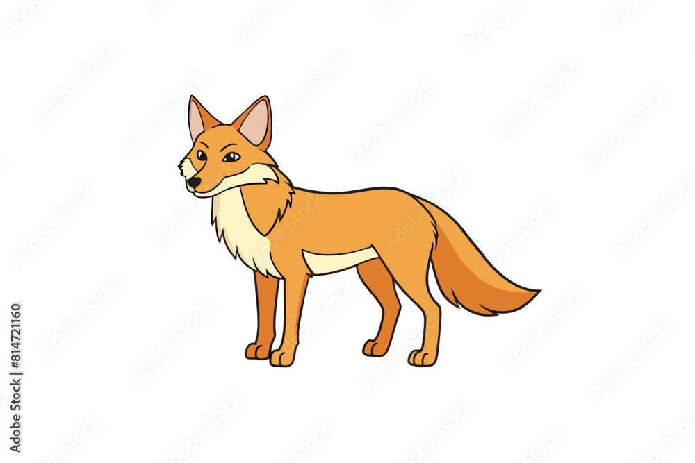 coyote cartoon vector illustration coyote cartoon vector illustration