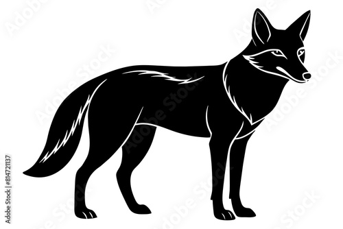 coyote line art silhouette illustration