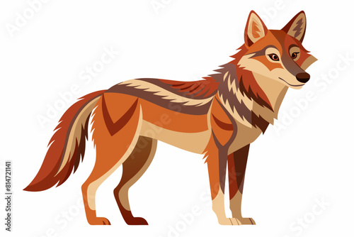 coyote cartoon vector illustration
