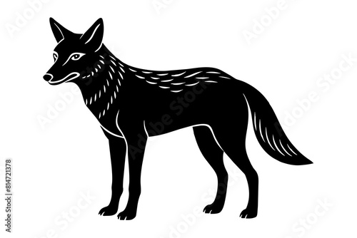 coyote line art silhouette illustration