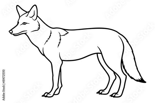 coyote line art silhouette illustration