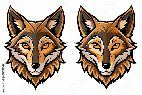 coyote cartoon vector illustration