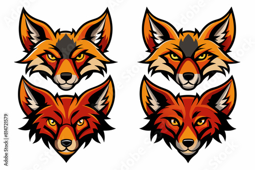 coyote cartoon vector illustration