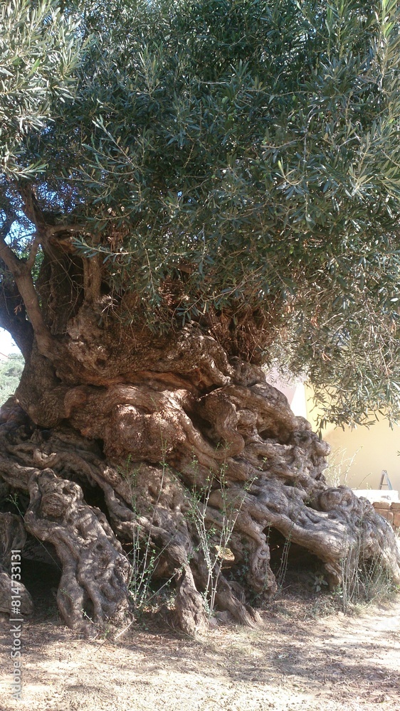 Discovery of the landscapes of Crete, an island in Greece, in summer