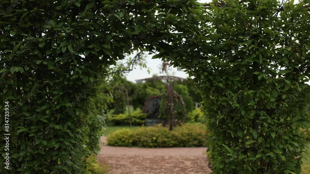 arch of bushes from plants in the garden arch of bushes from plants in the garden