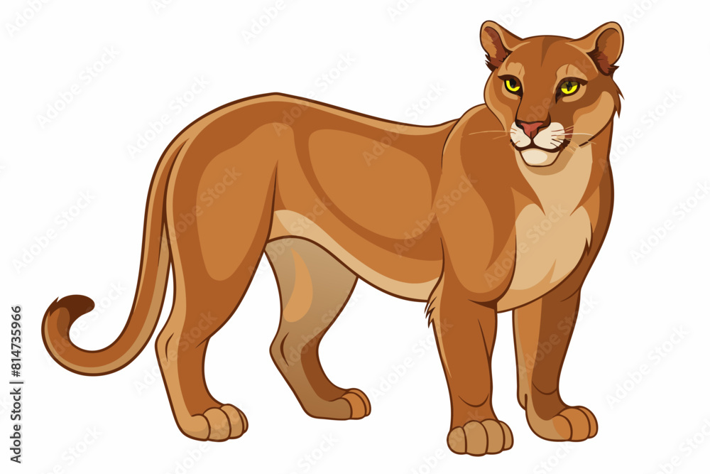 lion cartoon vector illustration