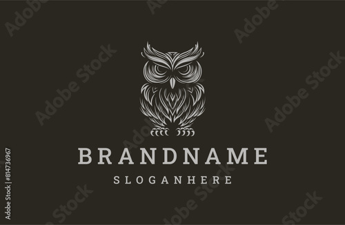 Owl logo icon design template vector illustration photo