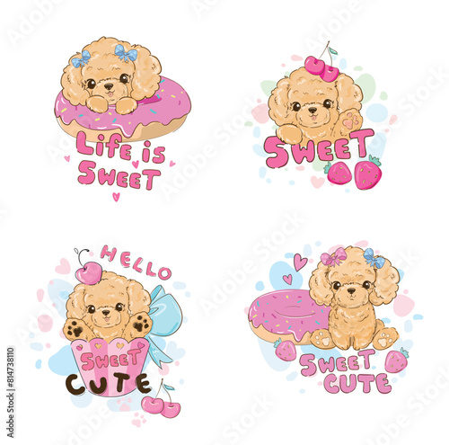 Set Cute puppy, Hand drawn maltipoo dog, Cute Poodle vector illustration, kids trend print design