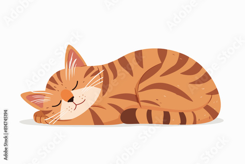 Illustration of a red cat on a white background. Red cute cat lies resting.