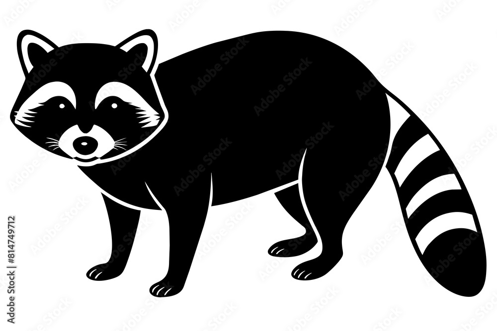 raccoon line art silhouette illustration
