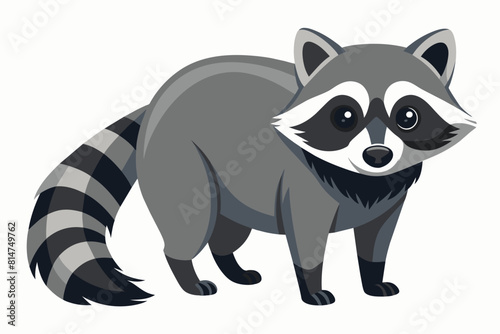 raccoon cartoon vector illustration © Shiju Graphics