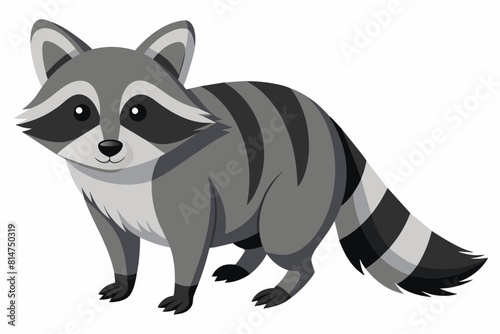 raccoon cartoon vector illustration