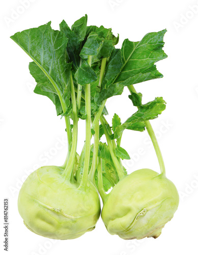 kohlabi isolated on white background.