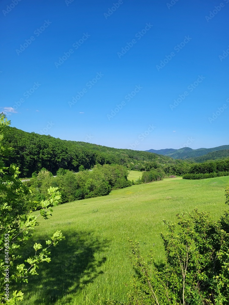 Obraz premium field and sky