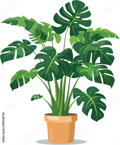Monstera plant in a pot isolated on transparent background. illustration.