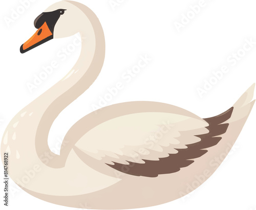 Swan on a transparent background. illustration in cartoon style.