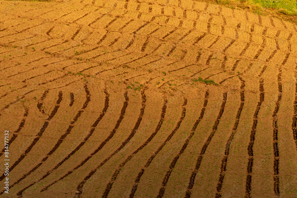 A field has been ploughed in preparation for crops being planted, Chiriqui, panama - stock photo A field has been ploughed in preparation for crops being planted, Chiriqui, panama - stock photo