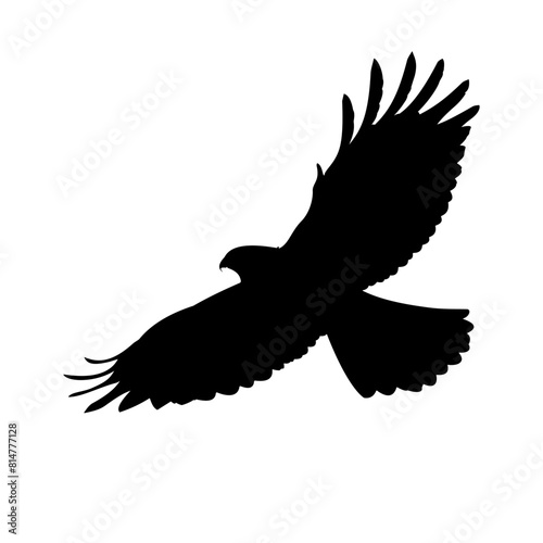 eagle icon illustration