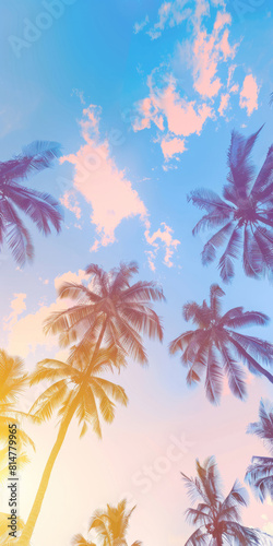 Coconut palm trees an pristine bounty beach colored toned image. Travel, tourism, vacation concept tropical background