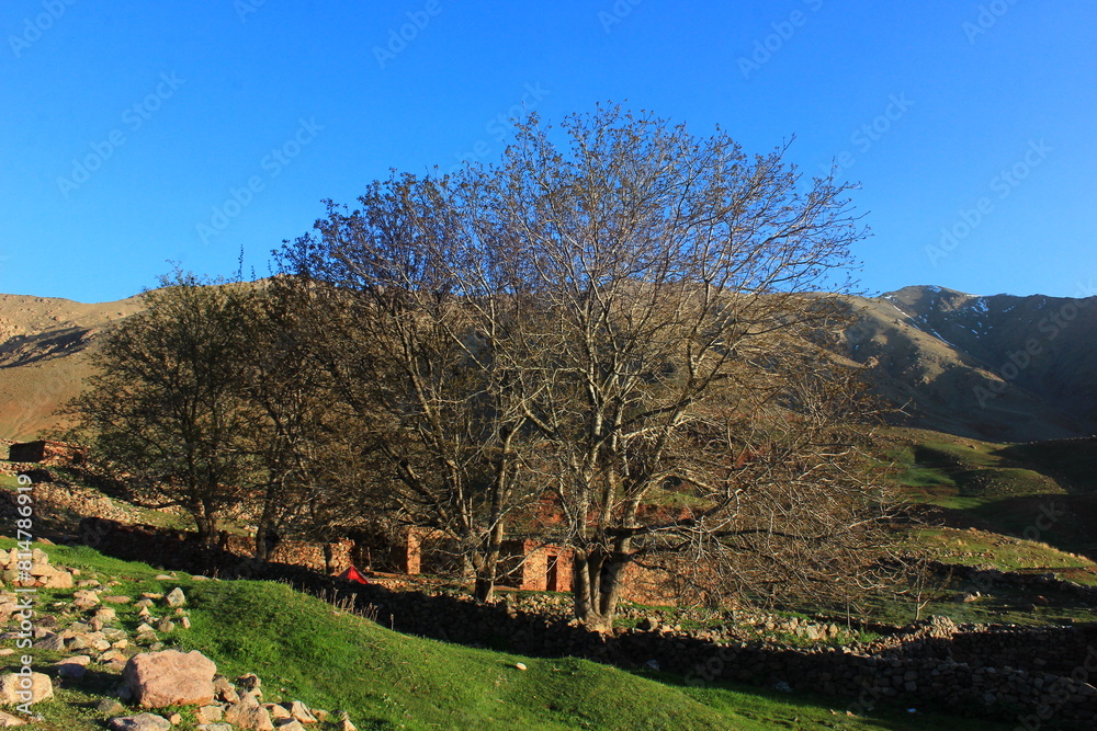 Plateau yagour Mountain, Tighdouine, Morocco Plateau yagour Mountain, Tighdouine, Morocco