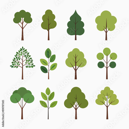 a bunch of trees that are green and brown