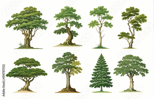 a bunch of different types of trees