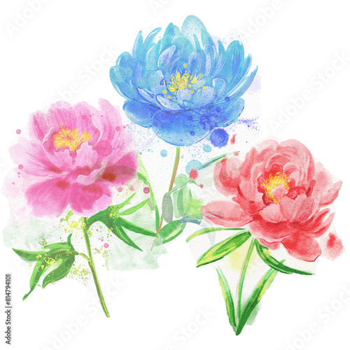 bouquet of flowers. Hand drawn watercolor peony flowers. Watercolor illustration.  © Olesia La