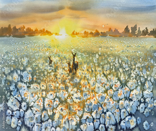 Dandelions meadow during sunset abstract watercolor background
