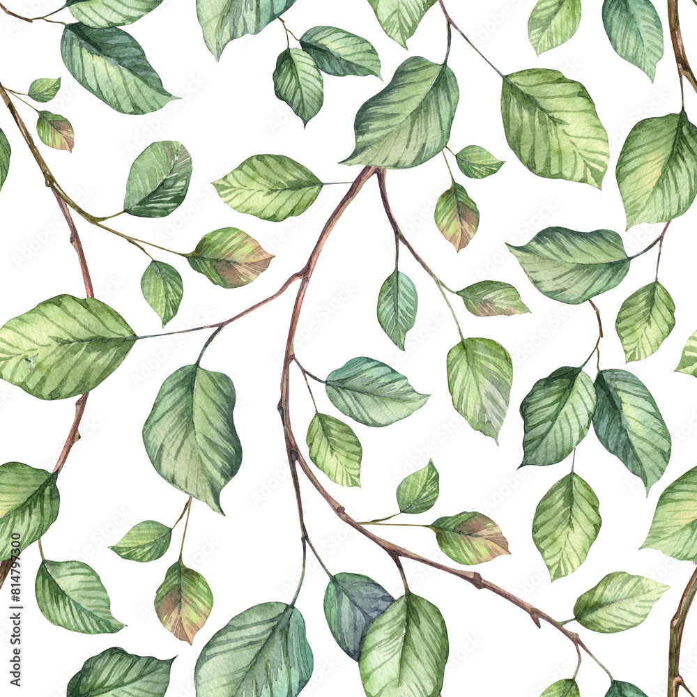 Fototapeta premium Square seamless pattern with ivy creeper plant. Watercolor hand painted green leaves background. Wallpapers and wrapping paper design