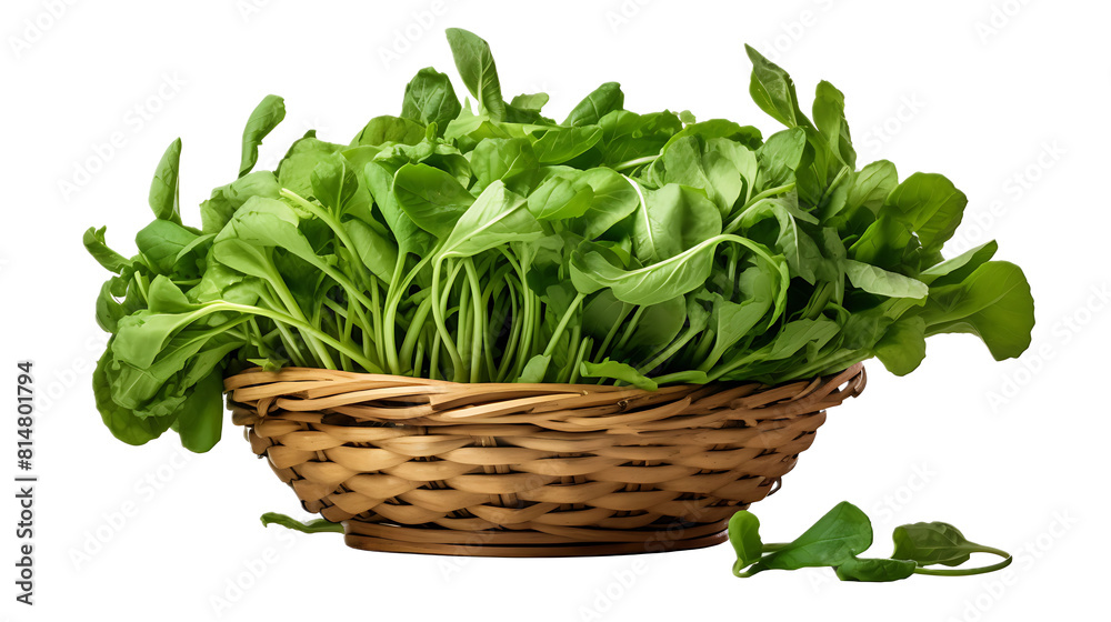 A basket of arugula with a transparent background. A basket of arugula with a transparent background.