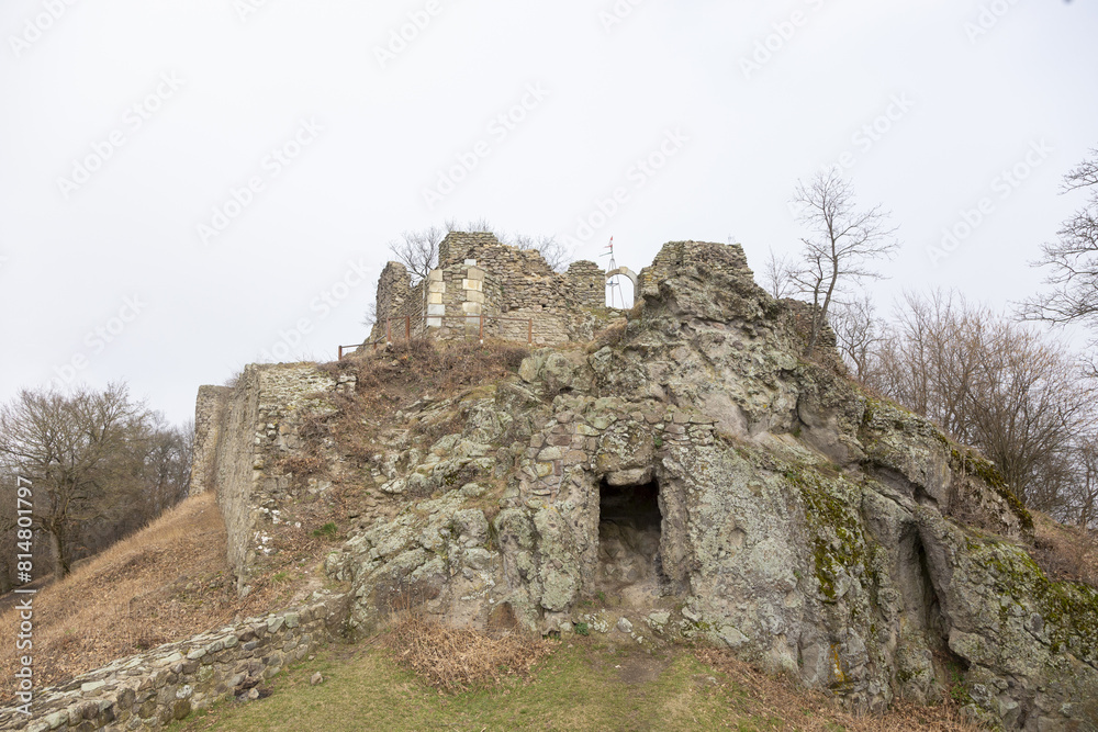 ruins of the castle