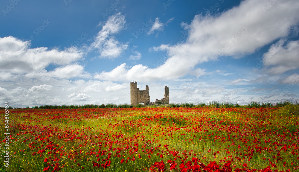 Poppies field with the ruined castle of the abandoned town of Caudilla, Toledo (Spain), in the background.