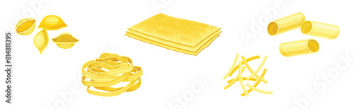Different Pasta Raw Shape and Type Vector Set