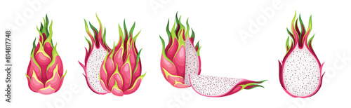Pitaya or Pitahaya Fruit of Cactus Species with White Flesh and Black, Crunchy Seed Vector Set