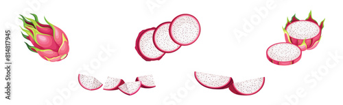 Pitaya or Pitahaya Fruit of Cactus Species with White Flesh and Black, Crunchy Seed Vector Set