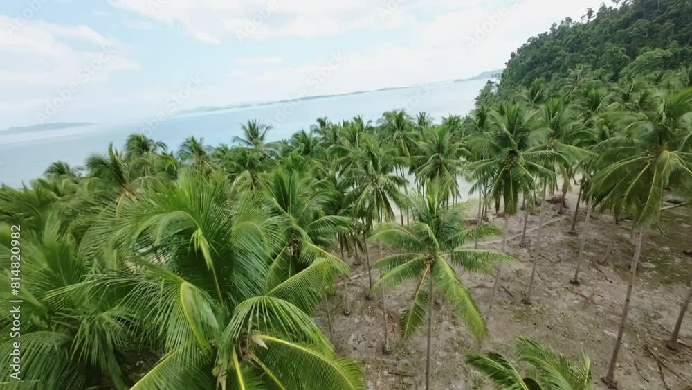 custom made wallpaper toronto digitalFPV drone flies through palm trees on a tropical beach