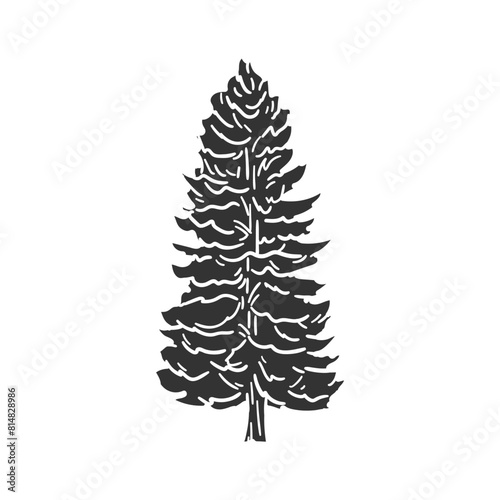 Sitka Spruce Icon Silhouette Illustration. Tree Vector Graphic Pictogram Symbol Clip Art. Doodle Sketch Black Sign.