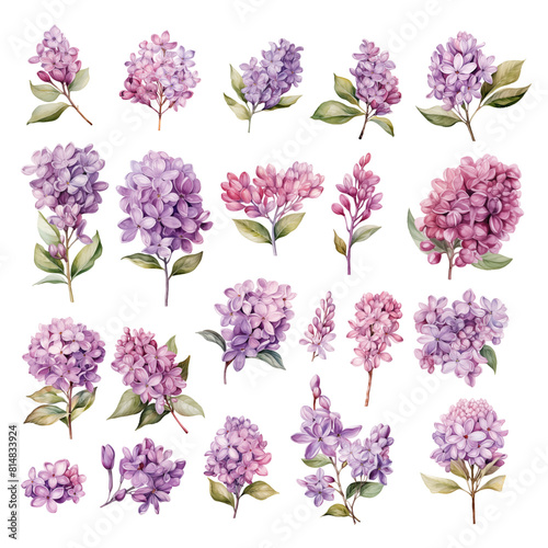 Set of Beautiful Lilac Flower Watercolor Clipart