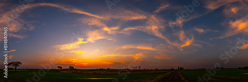 Panorama Beautiful clouds,Sunlight with dramatic sky,Thailand,Asia.Photo landscape open green field dramatic sunrise.Silhouette tree with sunset.Open rice fields.