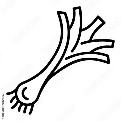 leek icon illustration
