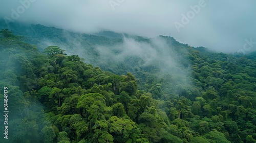 Aerial view of the Monteverde Cloud Forest in Costa Rica, a lush, high-altitude forest known for its dense fog and rich b © bvb215