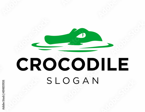 Logo about Crocodile on a white background. created using the CorelDraw application.
