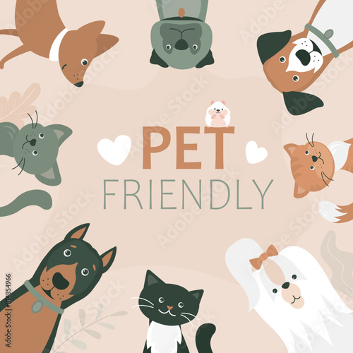 Adorable dogs and cats, pets friendly banner. Poster of domestic pets allowed and accepted. Cute animals on background with text.