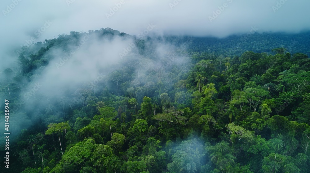 Aerial view of the Monteverde Cloud Forest in Costa Rica, a lush, high-altitude forest known for its dense fog and rich b