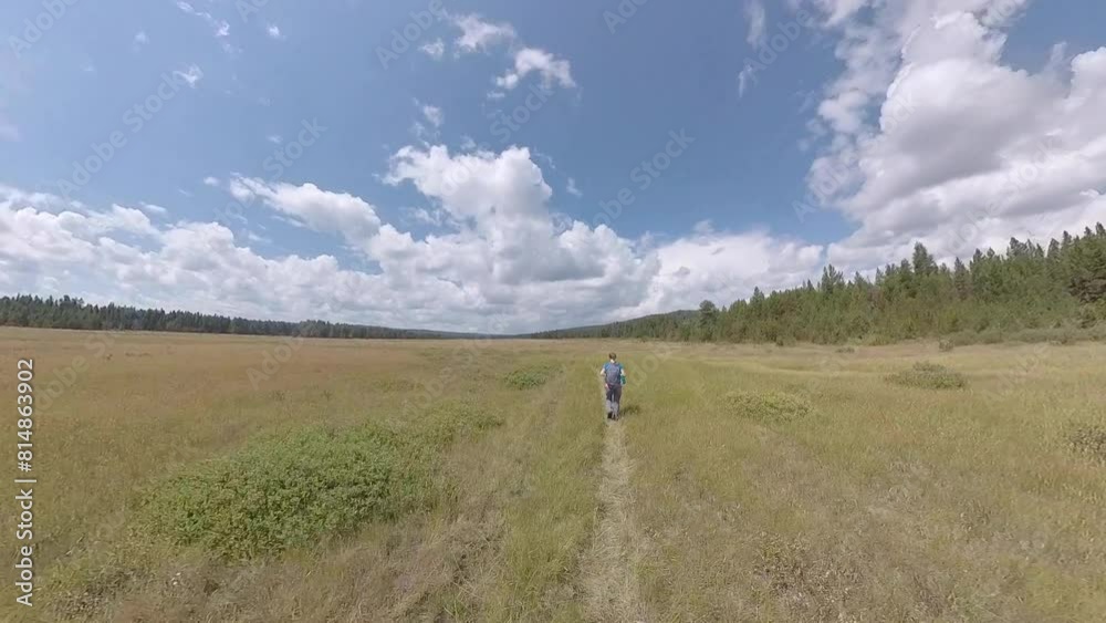 Following Woman Through Yellowstone Meadow on the Mary Mountain Trail Following Woman Through Yellowstone Meadow on the Mary Mountain Trail