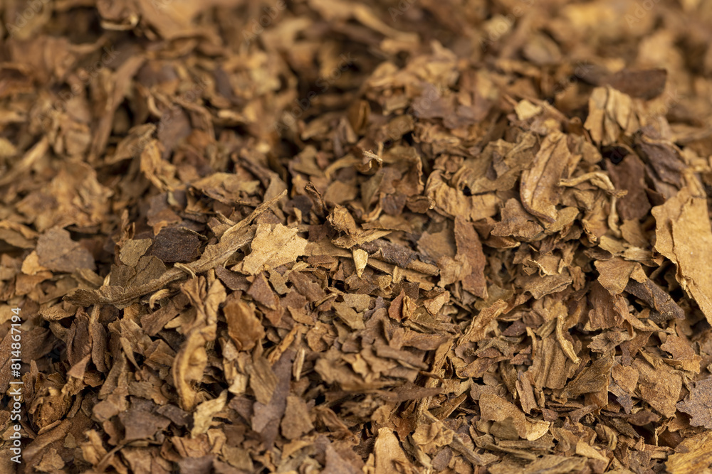 a cigar broken into tobacco leaves on the table a cigar broken into tobacco leaves on the table