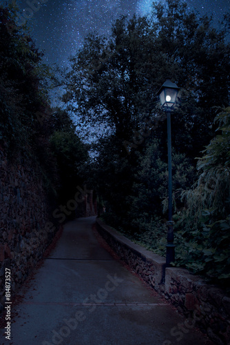 Starry Night Walk in the Park with a Lit Lamp Post.                   Paseo nocturno estrellado por el parque con un poste de luz iluminado. photo